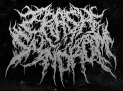 logo Crash Syndrom
